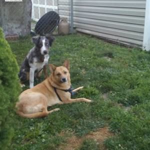 Meet your Posher, Renee